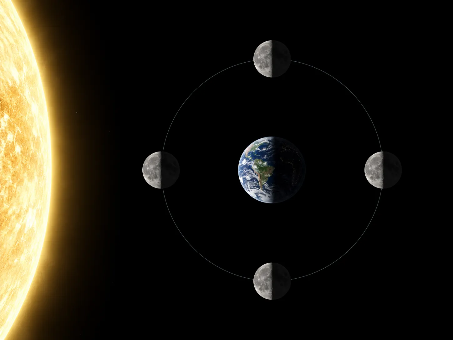 左に太陽、中央に地球、そのまわりの左・上・右・下に4つの月を真上から見た実写風の図。どの位置の月も太陽側の左半分だけが明るい。左の月は新月、上と下の月は半月、右の月は満月に見える位置